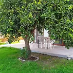 Ertem Апартаменты *