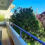 Ertem Datça