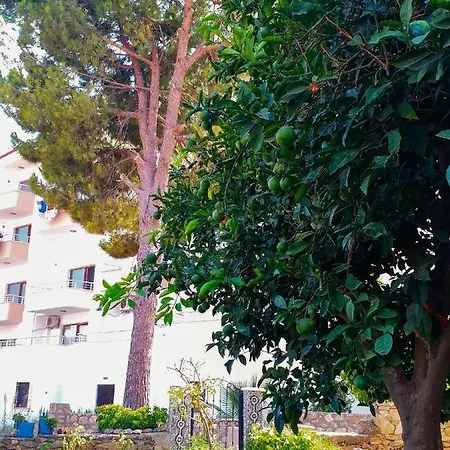 Ertem Apartamento