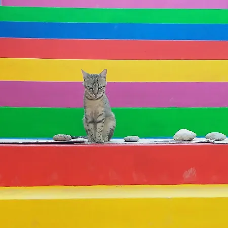 アパート Ertem *