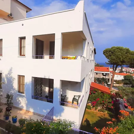 Ertem * ダッチャ